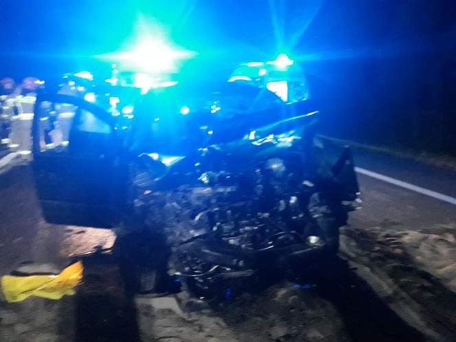 Jeleń doprowadził do tragedii w Małopolsce