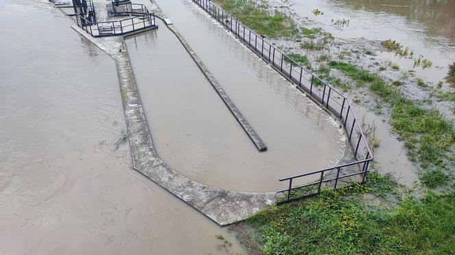 Fala powodziowa we Wrocławiu. Pod wodą są już beach bary i drogi 