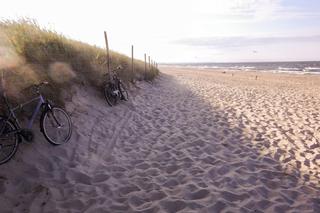 Plaża na Wyspie Sobieszewskiej 