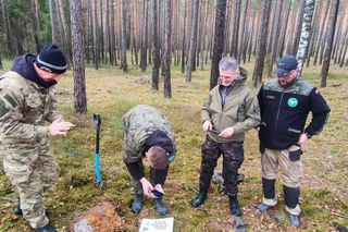 Cenne odkrycie w Borach Tucholskich. Za jedną taką srebrną monetę Krzyżacy kupowali bochenek chleba czy garść soli