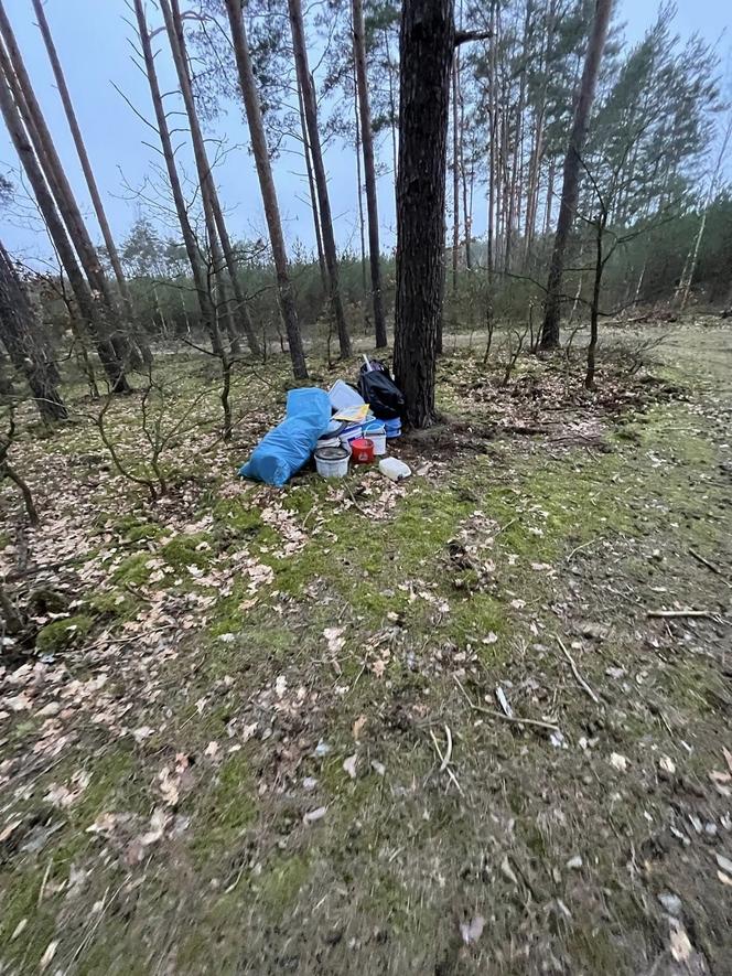 Gorzów: Śmieci w lesie. Ktoś zostawił po sobie ślad?