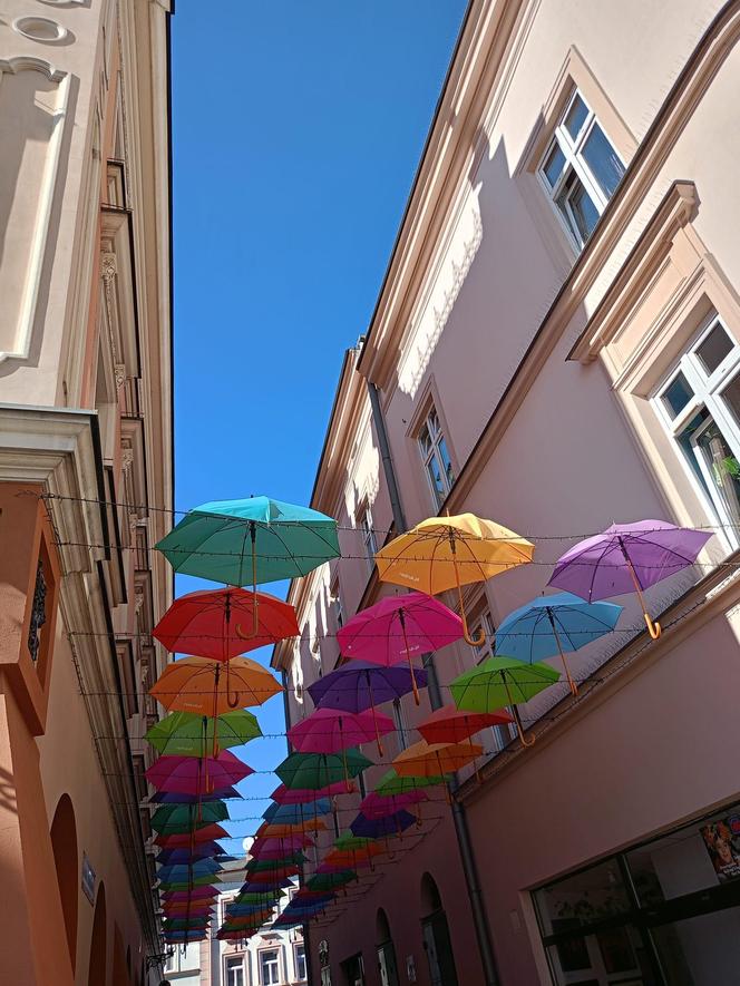 Światowy Dzień Fotografii. Z tych fotek są dumni nasi Czytelnicy! ZOBACZ