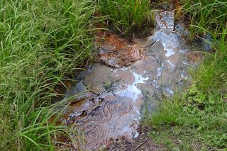 Nieznana atrakcja turystyczna. Mofety można znaleźć tylko w jednym regionie Polski