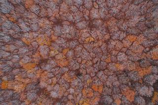 Śląsk to same kopalnie... [ZDJĘCIE DNIA]