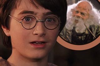 Jedna z gwiazd Harry'ego Pottera powtórzy swoją rolę w serialu HBO