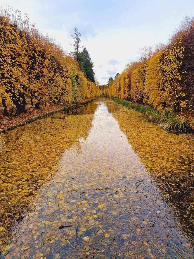 Gdańsk jesienią. Te widoki zapamiętacie na długo. Spójrzcie tylko na te zdjęcia!