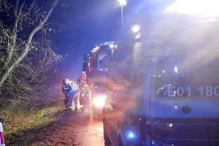 Śmiertelny wypadek pod Bełchatowem. 29-latka uderzyła audi w drzewo [ZDJĘCIA]