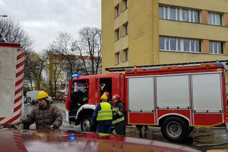 Złamane drzewo uszkodziło samochód na ul. Podhalańskiej w Szczecinie