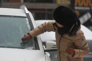 Mucha skrobie szyby kartą kredytową