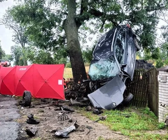 Medycy ratowali kierowcę, kobietę i córeczkę. Nie udało się