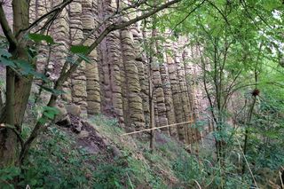 Bazaltowe słupy na Dolnym Śląsku