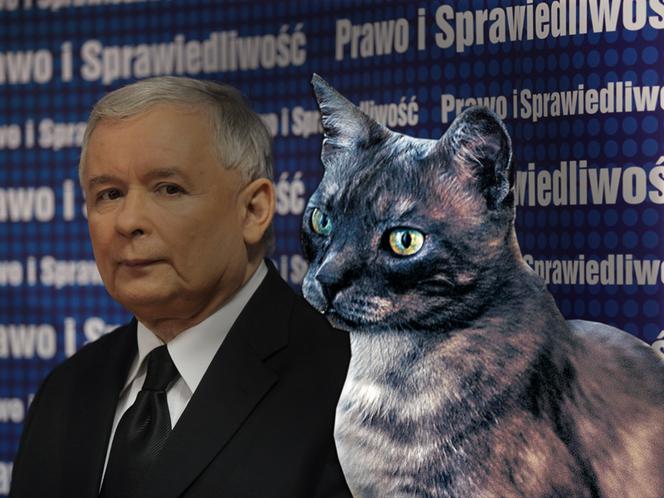Jarosław Kaczyński z Alikiem