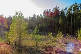 Pogoda zmieni się o 180 stopni! Temperatury do 16 stopni to nie wszystko