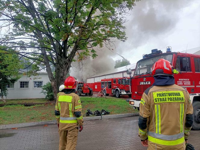 Wielki pożar hali w Gliwicach! Chmura dymu nad miastem