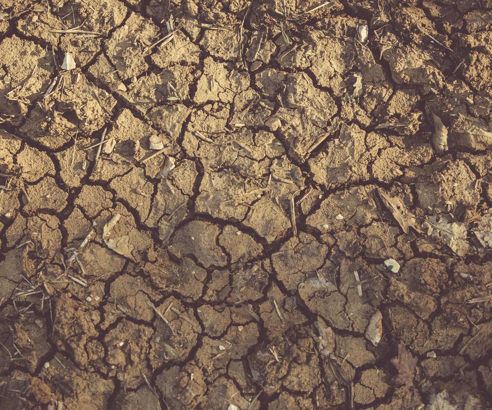 Susza pustynia gleba klimat ocieplenie upał 