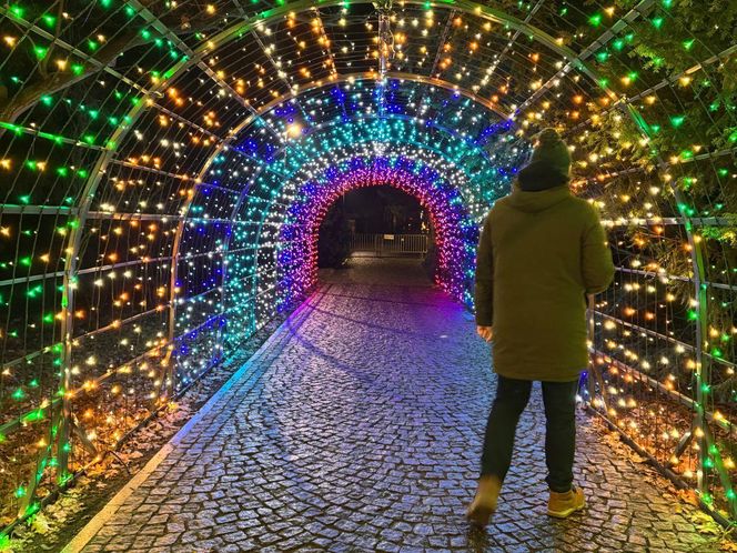 "Garden of Lights" w ZOO Wrocław