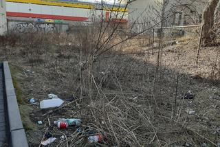 Śmieci w Łodzi walają się po skwerach i trawnikach. Mieszkańcy: Tak brudno nigdy nie było! [ZDJĘCIA]
