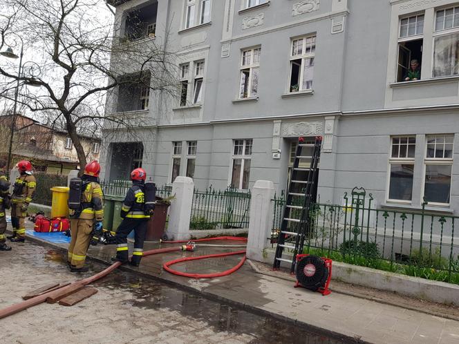 Pożar mieszkania w Toruniu. Dwie osoby w szpitalu, osiem zastępów straży w akcji