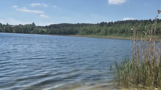 To jezioro w Olsztynie ma niezwykle czystą wodę. Jest kilka dzikich plaż, które świecą pustkami