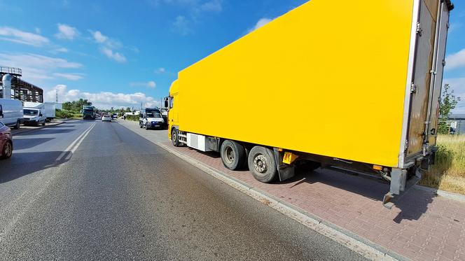 Bezpieczne transporty żywności