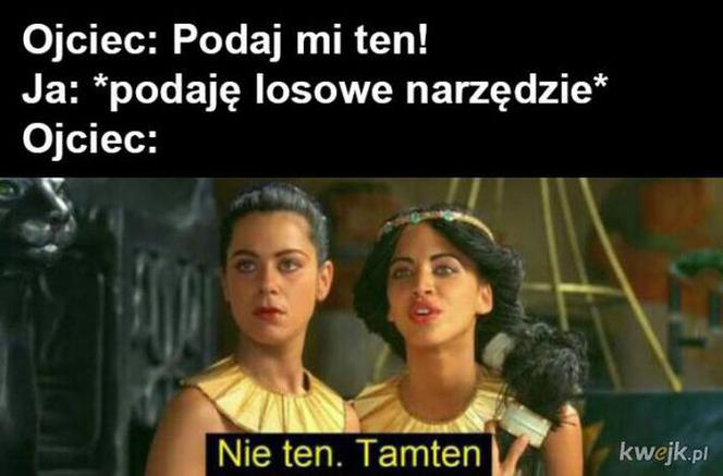 Memy na Dzień Ojca 2026. Zobacz najśmieszniejsze obrazki z tatą w roli głównej [GALERIA]