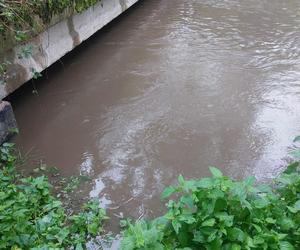 Zagrożenie powodziowe w Kątach Wrocławskich. Gmina apeluje do mieszkańców 