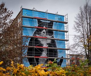 Kot Gacek znów podbija Szczecin. Mural przypomina o kocim symbolu miasta