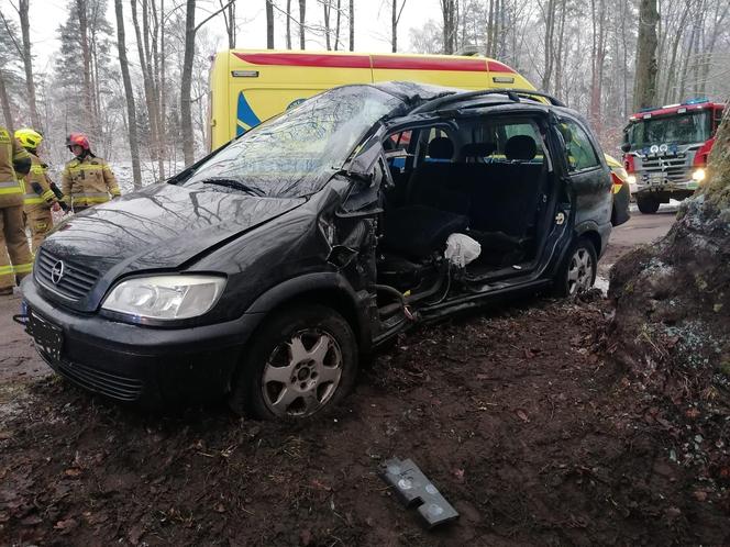 Wypadek w gminie Lelkowo