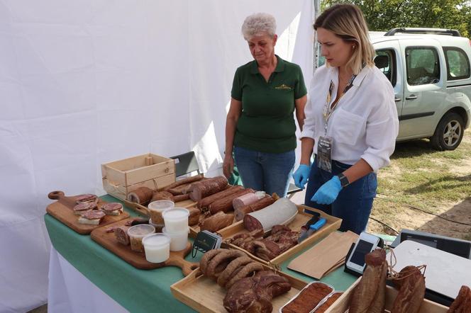 XXV Lubelskie Święto Chleba w Muzeum Wsi Lubelskiej