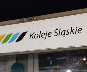 Poważna awaria na Śląsku. Pociągi stanęły, paraliż na dworcu