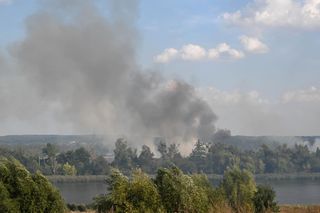 Słup dymu pod Szczecinem. W akcji samoloty gaśnicze. Strażacy wskazują na podpalenie