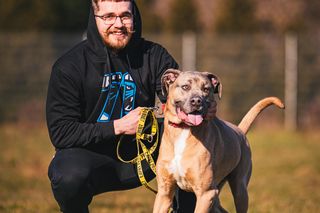 Pasaż Grunwaldzki i Panthers Wrocław w szczytnej akcji! Adoptuj pieska ze schroniska