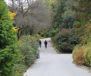 Spacer po jesiennych Ogrodzie Botanicznym w Lublinie