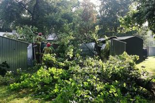 Zniszczenia po burzach w woj. lubelskim