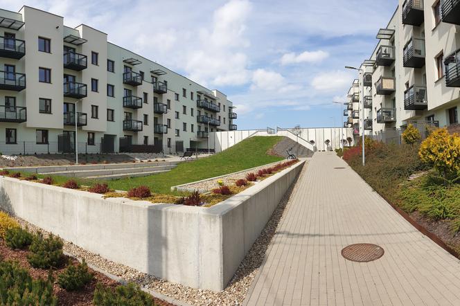 W Tarnowie powstanie ponad 150 nowych mieszkań na wynajem. Tak będą wyglądać