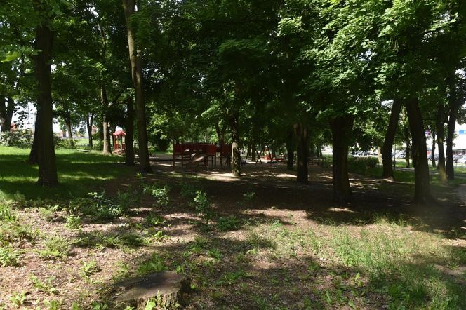 Park Glazja w Toruniu. To tutaj doszło ataku na 24-letnią kobietę