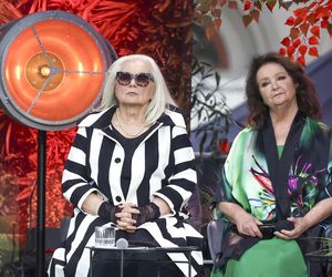 Tak zmieniała się Anna Dymna