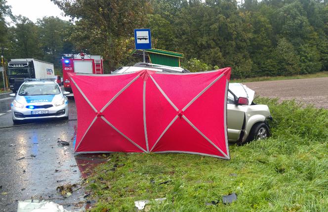 Śmiertelny wypadek na DK15. Nie żyją dwie osoby [ZDJĘCIA]