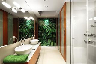 Zielona łazienka: za szkłem