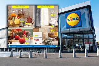 Jesienna metamorfoza domu? Lidl  szaleje z nową ofertą!
