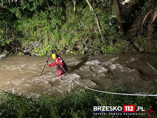 Powiat brzeski. Nocna akcja ratownicza strażaków nad rzeką Uszwicą