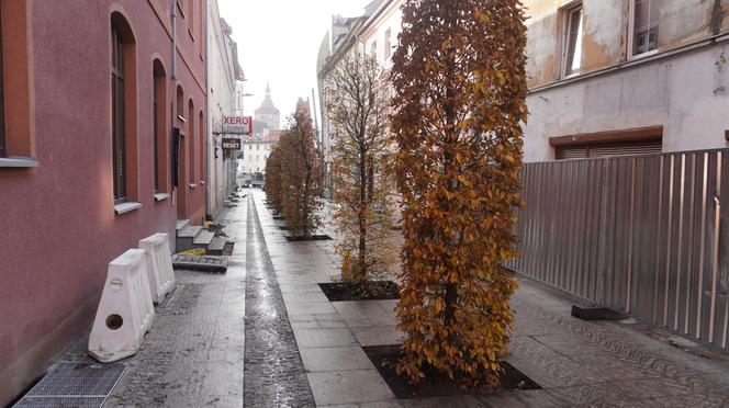 Alejka w centrum Olsztyna zmieniła się nie do poznania. Będzie najpiękniejsza w mieście? [ZDJĘCIA]