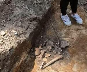 Odkrycie archeologiczne w Mysłowicach