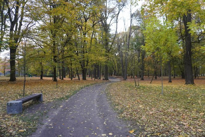 Park Lubomirskich w Białymstoku jesienią 