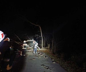 Zerwane dachy i powalone drzewa w Śląskiem. Przez wieczorny wiatr strażacy mieli dużo roboty ZDJĘCIA