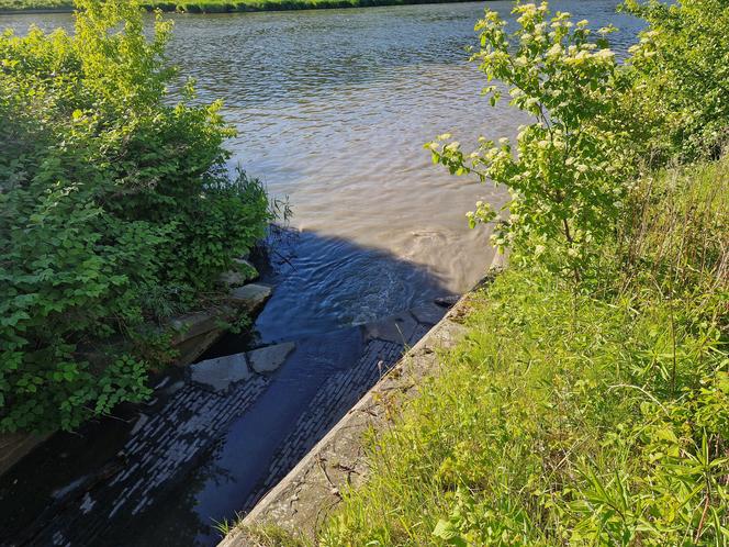 Ogromny zrzut ścieków do Wisły. Rzeką znów płynęły nieczystości 