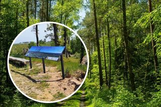 Prawie jak w Tatrach. Niezwykłe pasmo w Kujawsko-Pomorskiem. Oto najwyższe punkty województwa