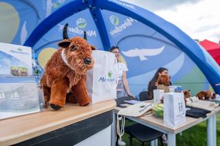 Festiwal Żubra w Mirosławcu