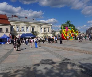 Piknik w Rynku w Kielcach. 1 maja 2025