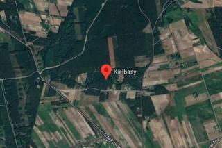 Kiełbasy